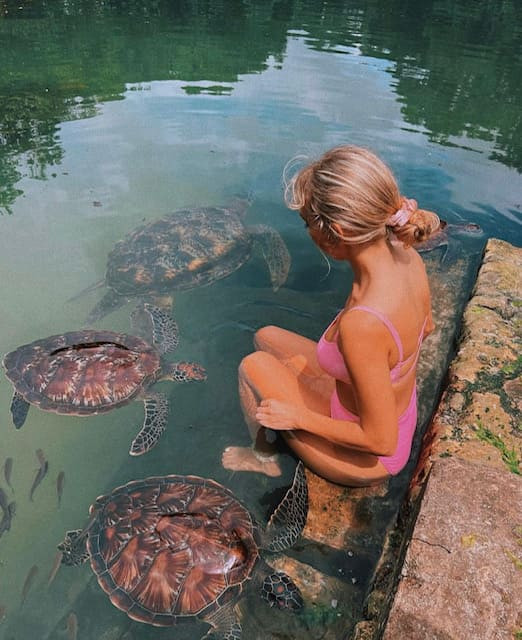 Magical moment with a majestic sea turtle in Zanzibar's marine wonderland